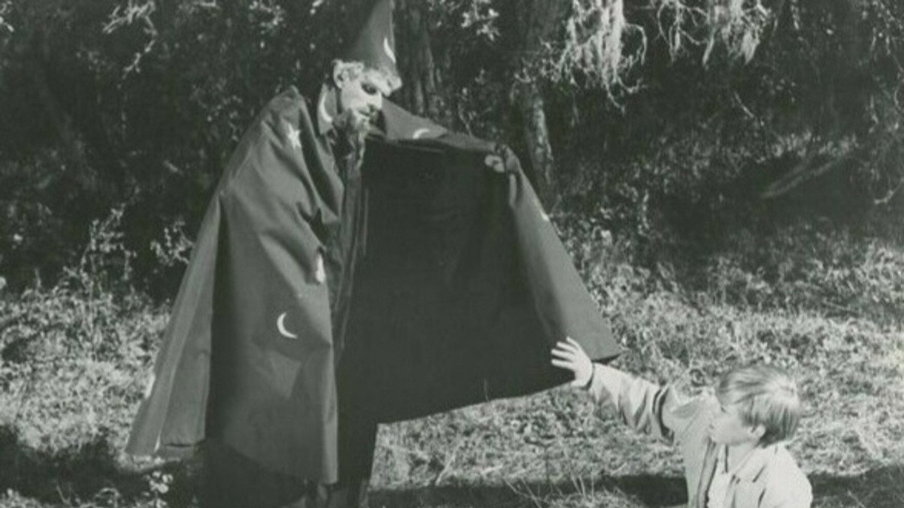The Princess and the Magic Frog