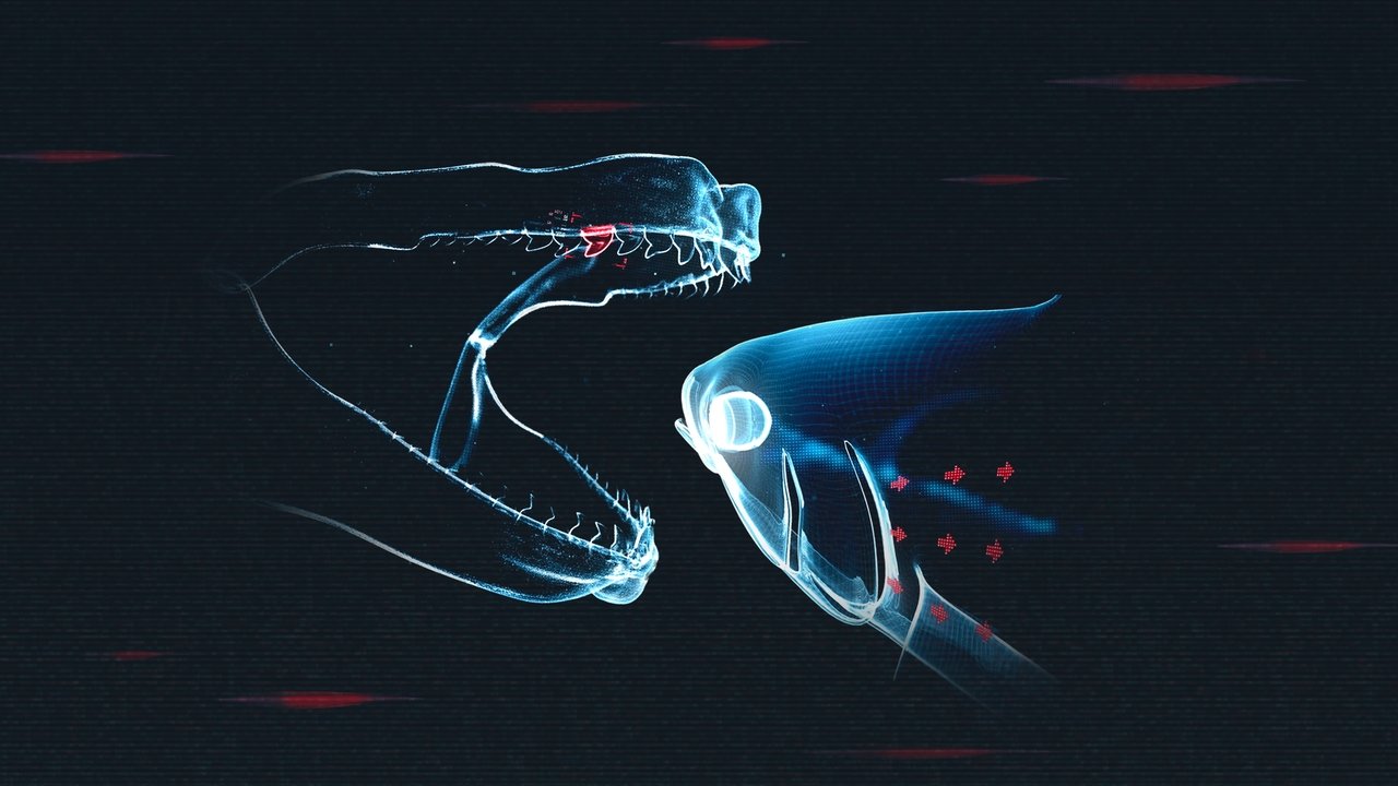 Requins contre Thons