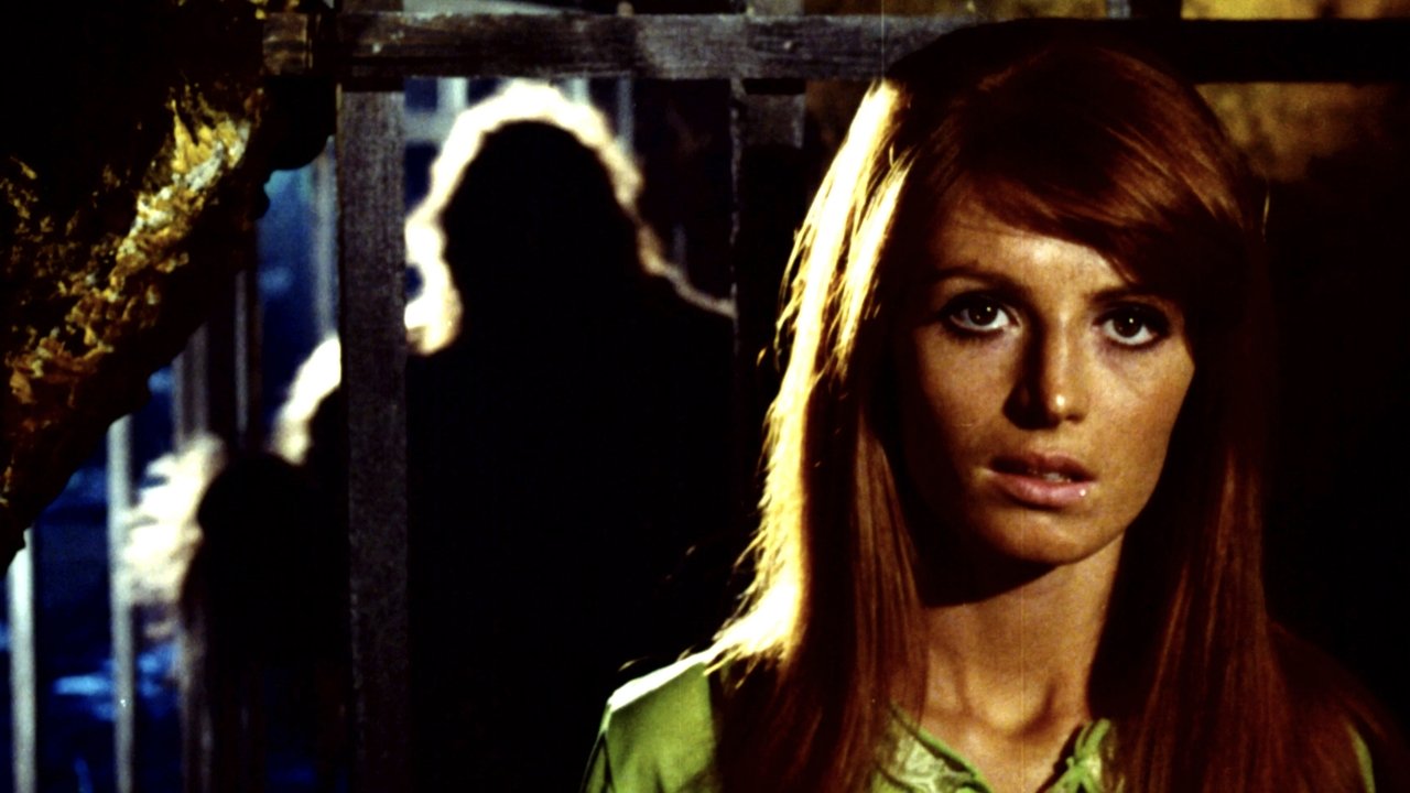Jungle 2000