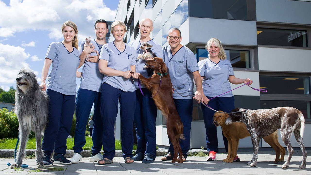 Veterinærene