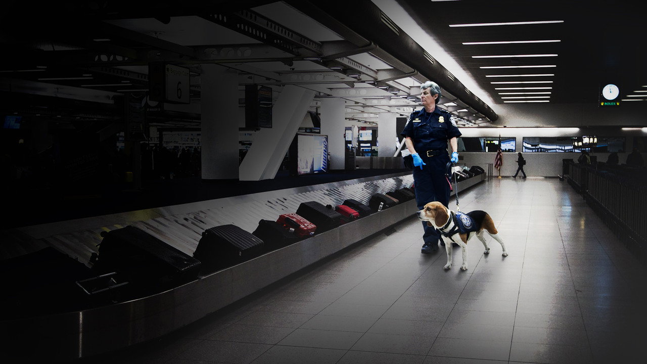 Ultimate Airport USA
