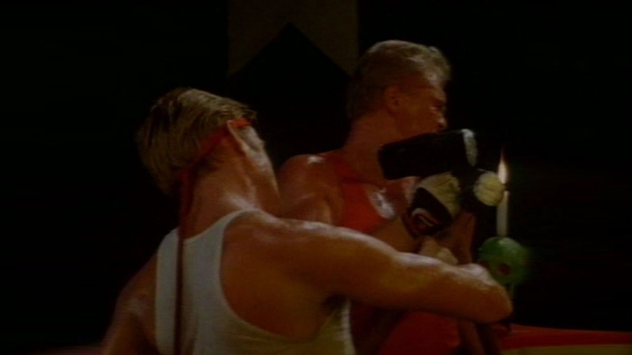 Zodiac Power 3: Kickboxer from Hell