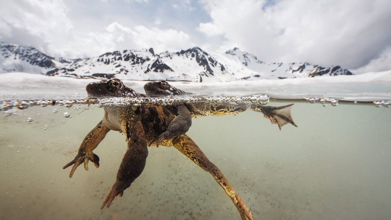 Le plus beau pays du monde : Le Sanctuaire
