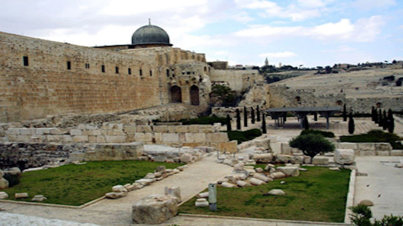 The Jews - A People's History