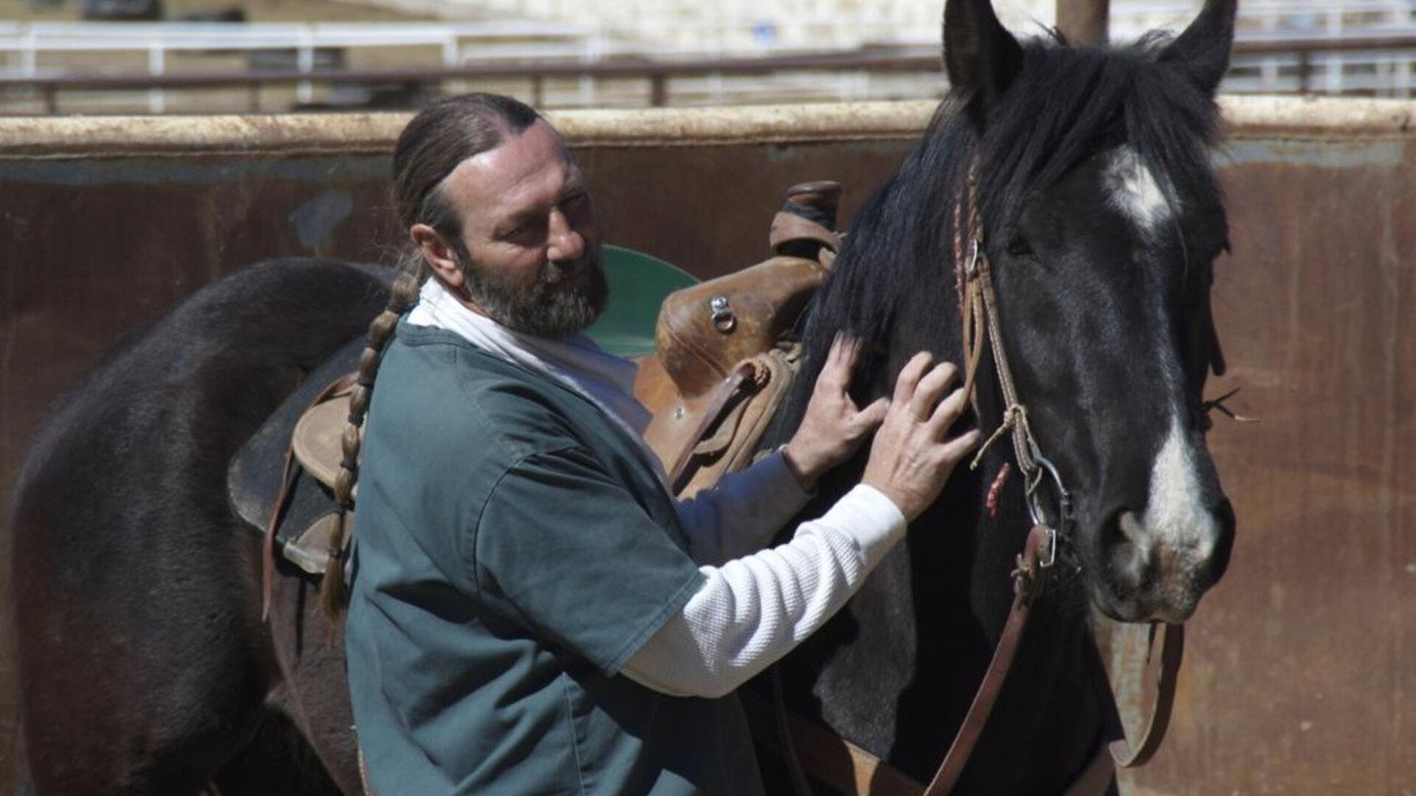 The Wild Horse Redemption