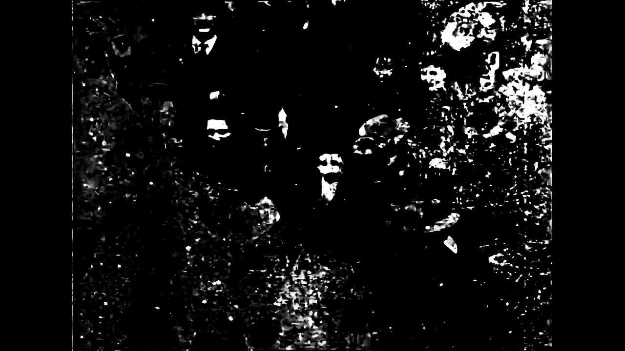 Congregación