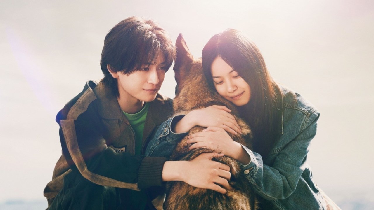 少年と犬