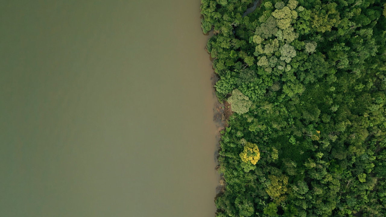 DAMS AMONG US