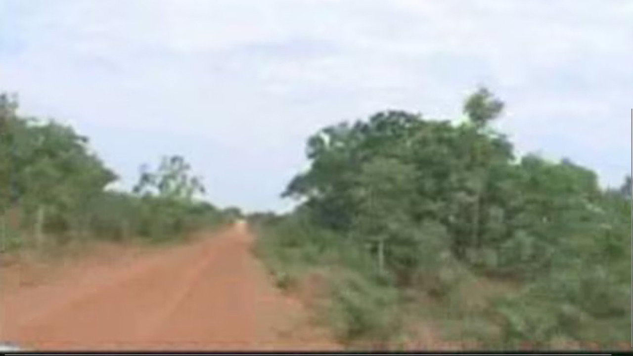 A Terra E O Tempo - Vozes Do Quilombo