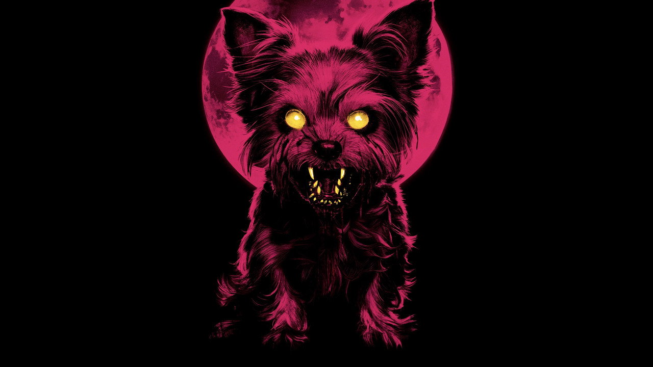 The Yorkie Werewolf