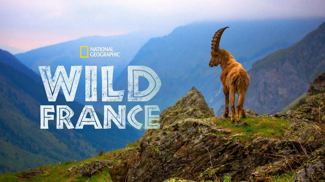Le Plus Beau Pays du Monde