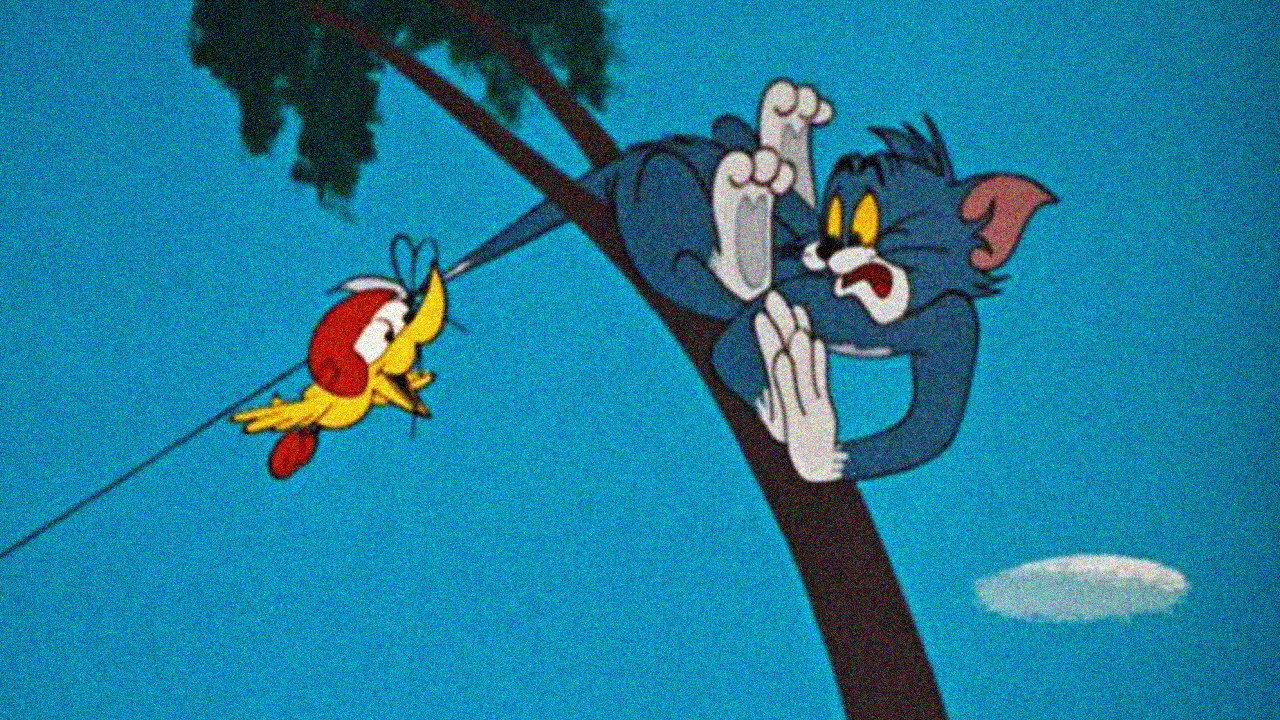Tom s’envole
