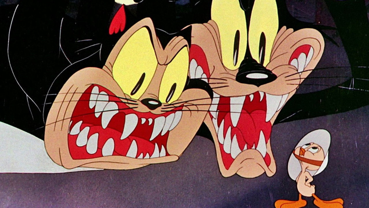 Histoire de chatons