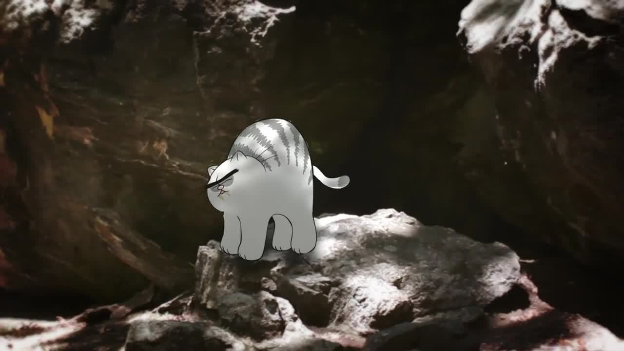 Extinction of the Saber-Toothed Housecat