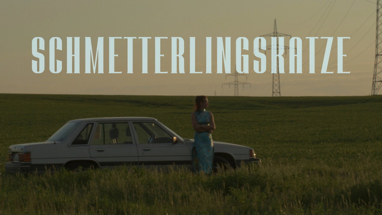 Schmetterlingskatze
