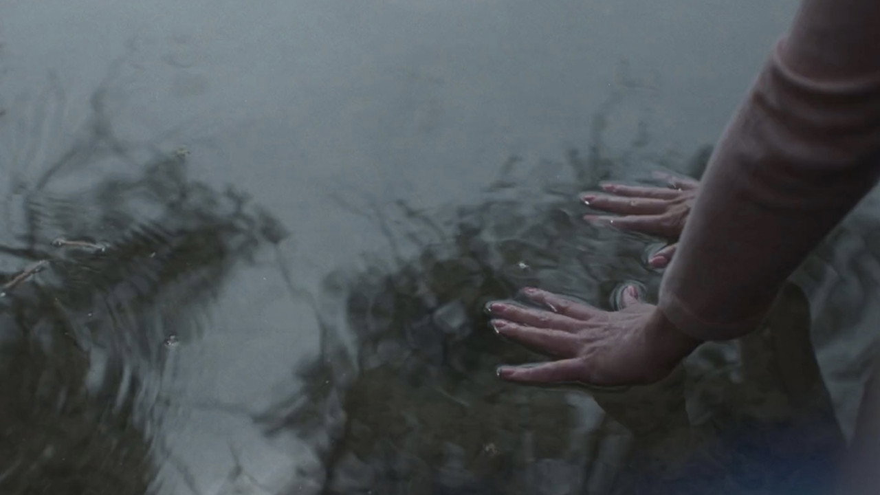 Amnion