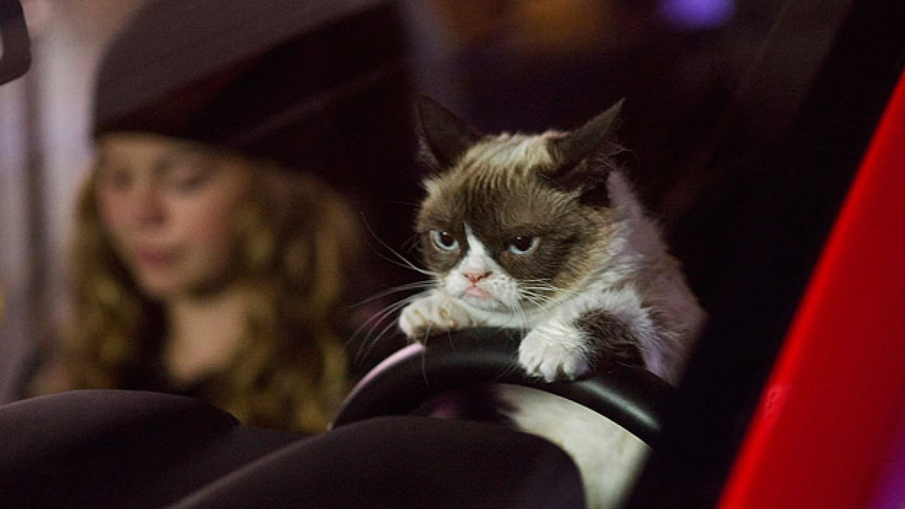 Joyeux Noël Grumpy Cat !