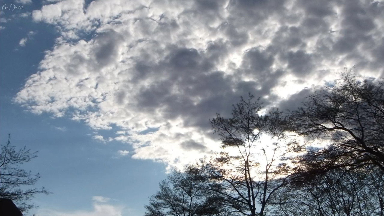 Clouds and Trees