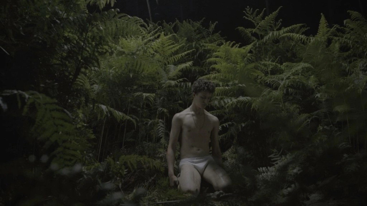 New Queer Visions: The Last Days of Innocence
