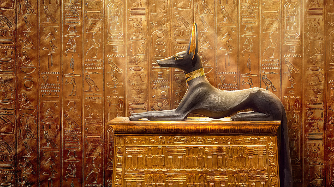Tut : Un siècle de secrets