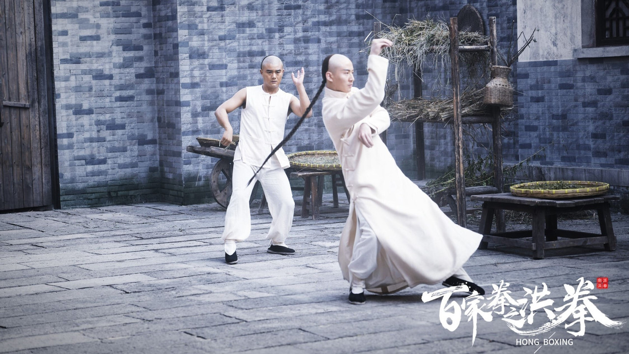 百家拳之洪拳