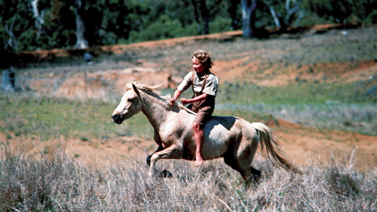 Le Poney Sauvage