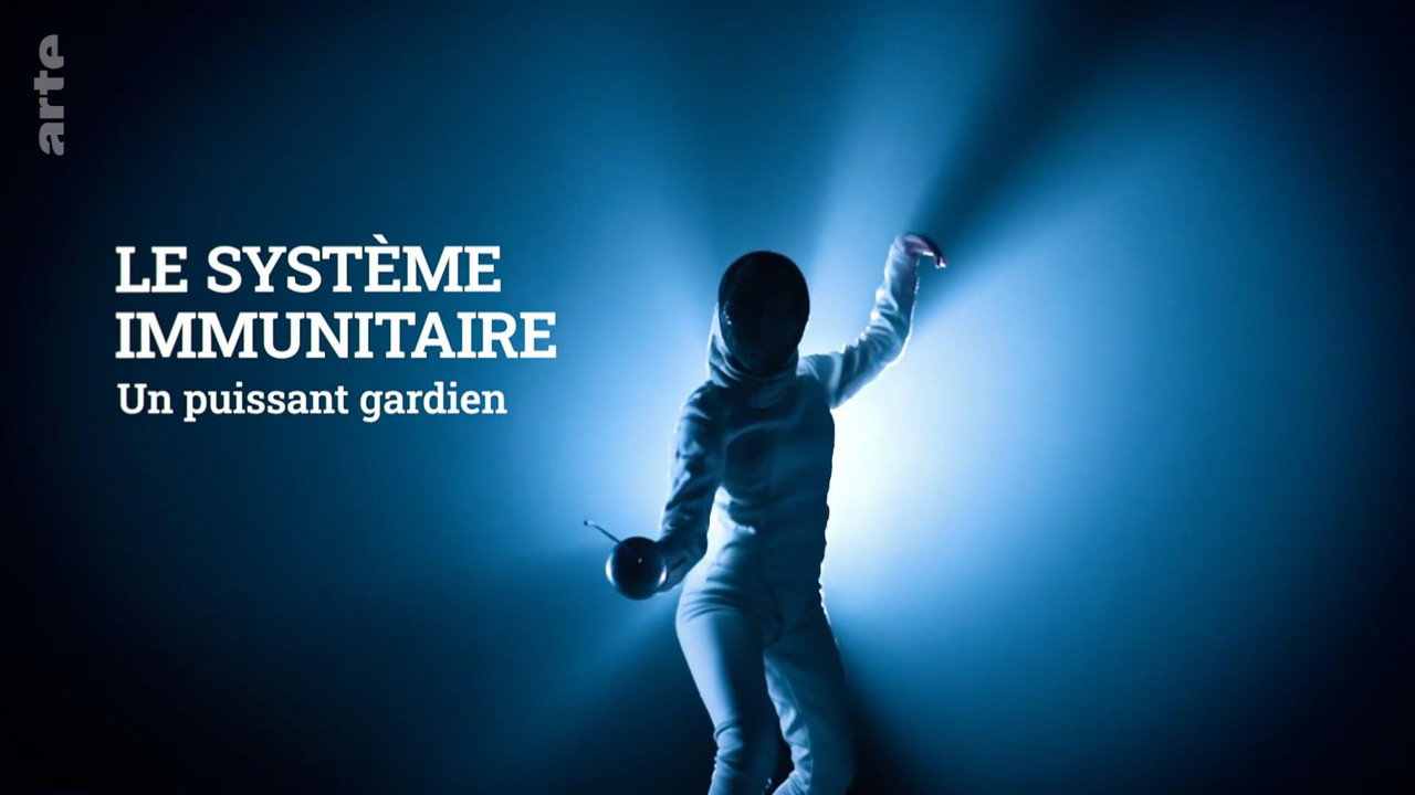Le système immunitaire, un puissant gardien