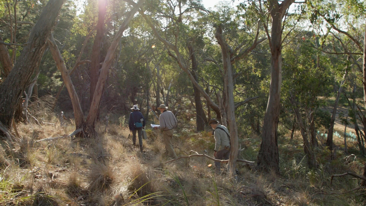 Saving Spring Creek Valley