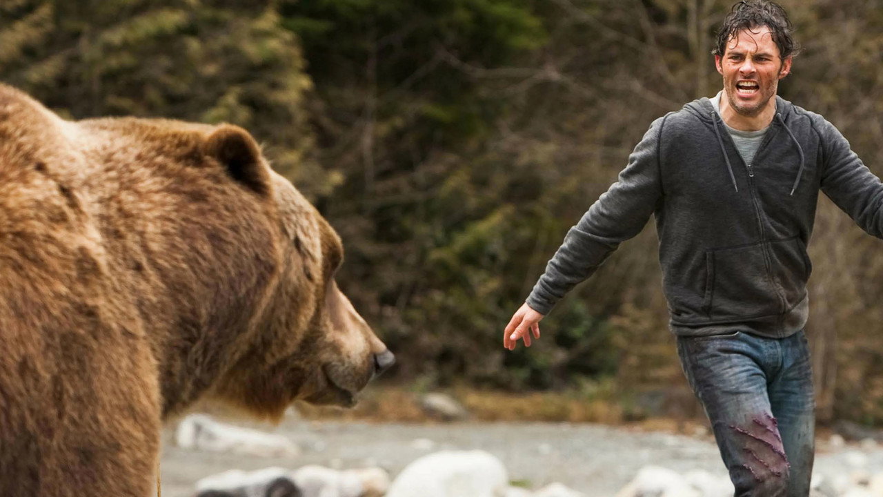 Into the Grizzly Maze