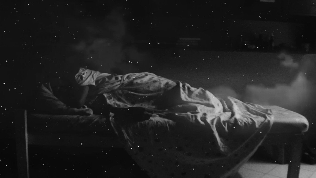 Nocturnal Animals
