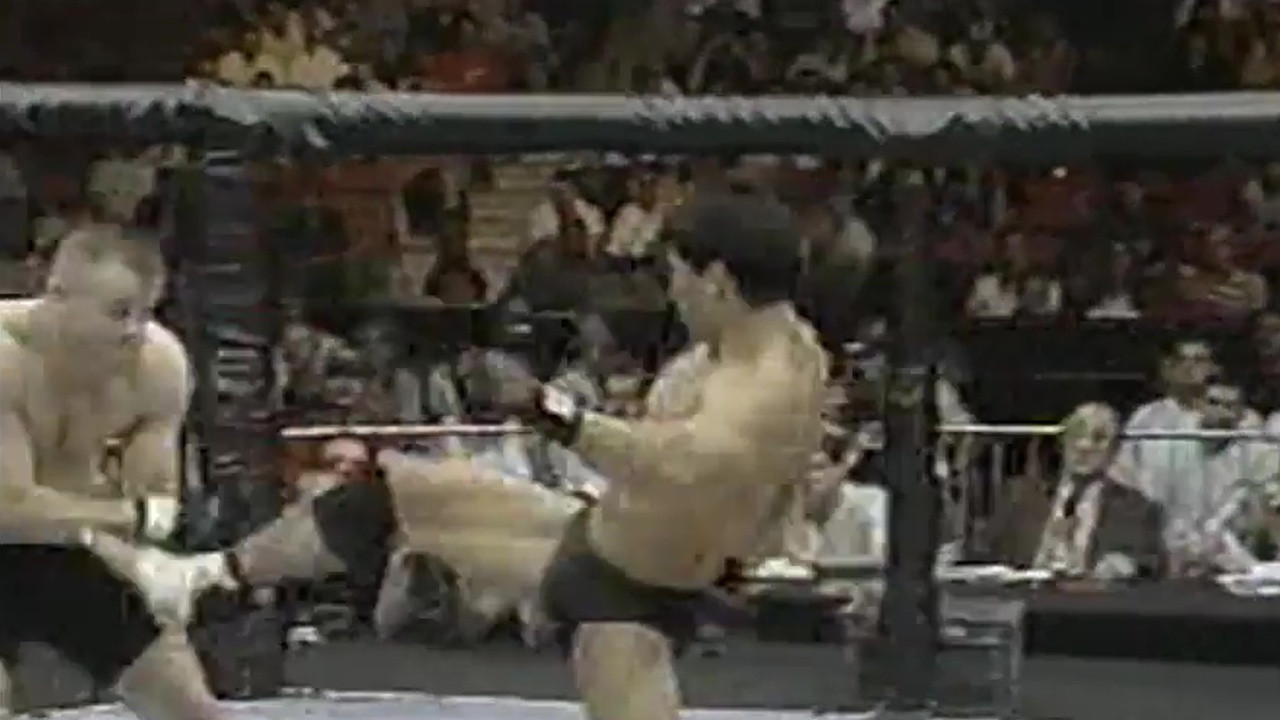 UFC 17: Redemption