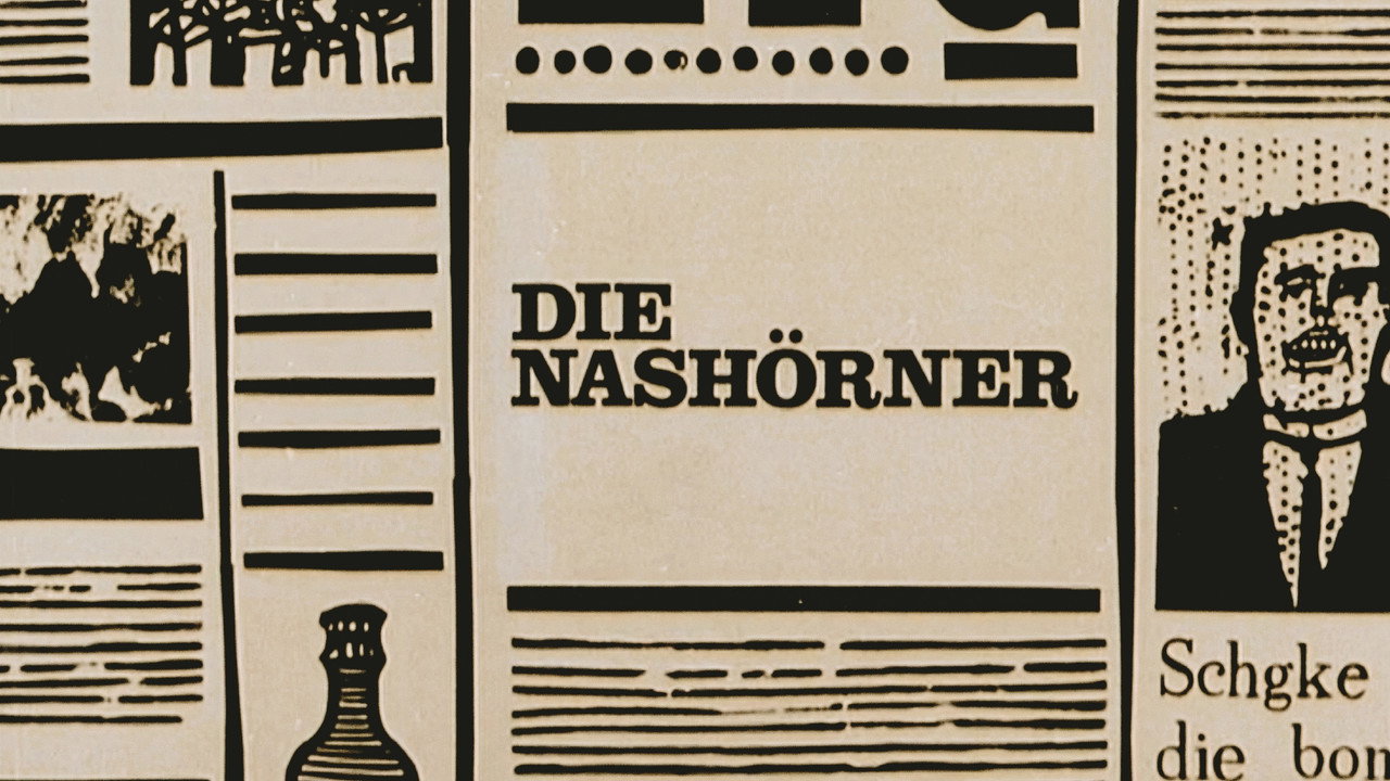 Die Nashörner