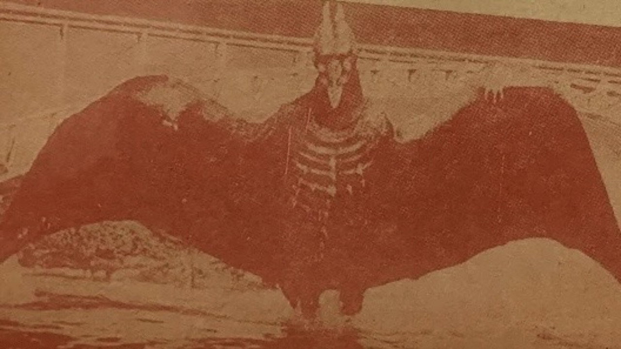 Bloodthirsty Hawk