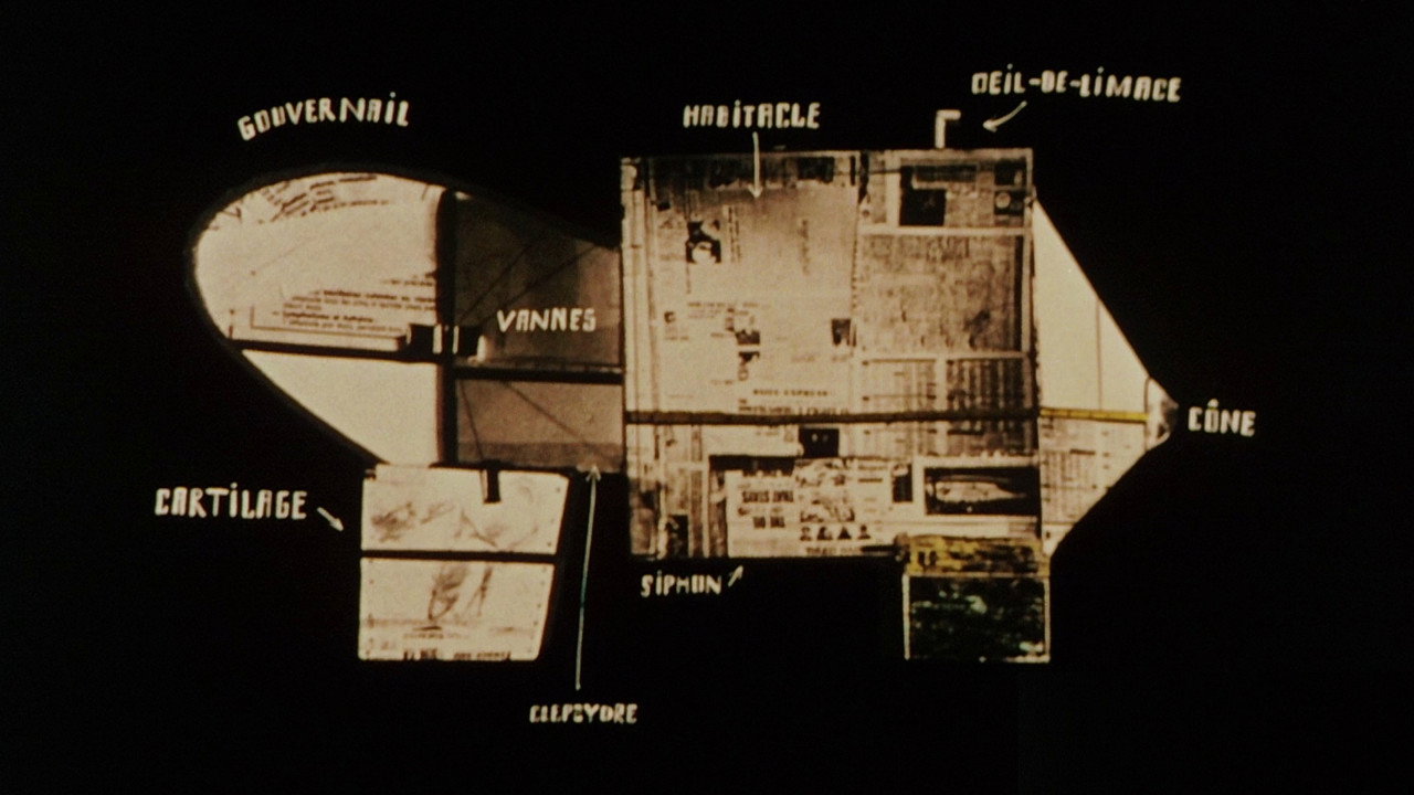 Les Astronautes
