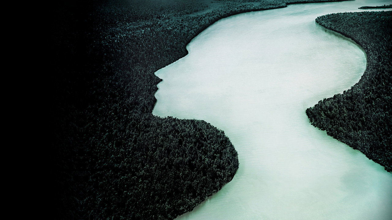 The Vanishing Women