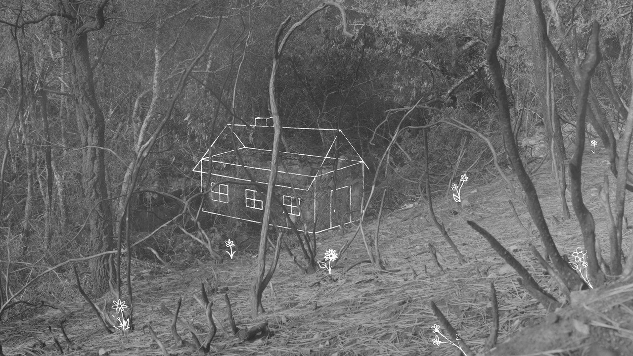 Undergrowth