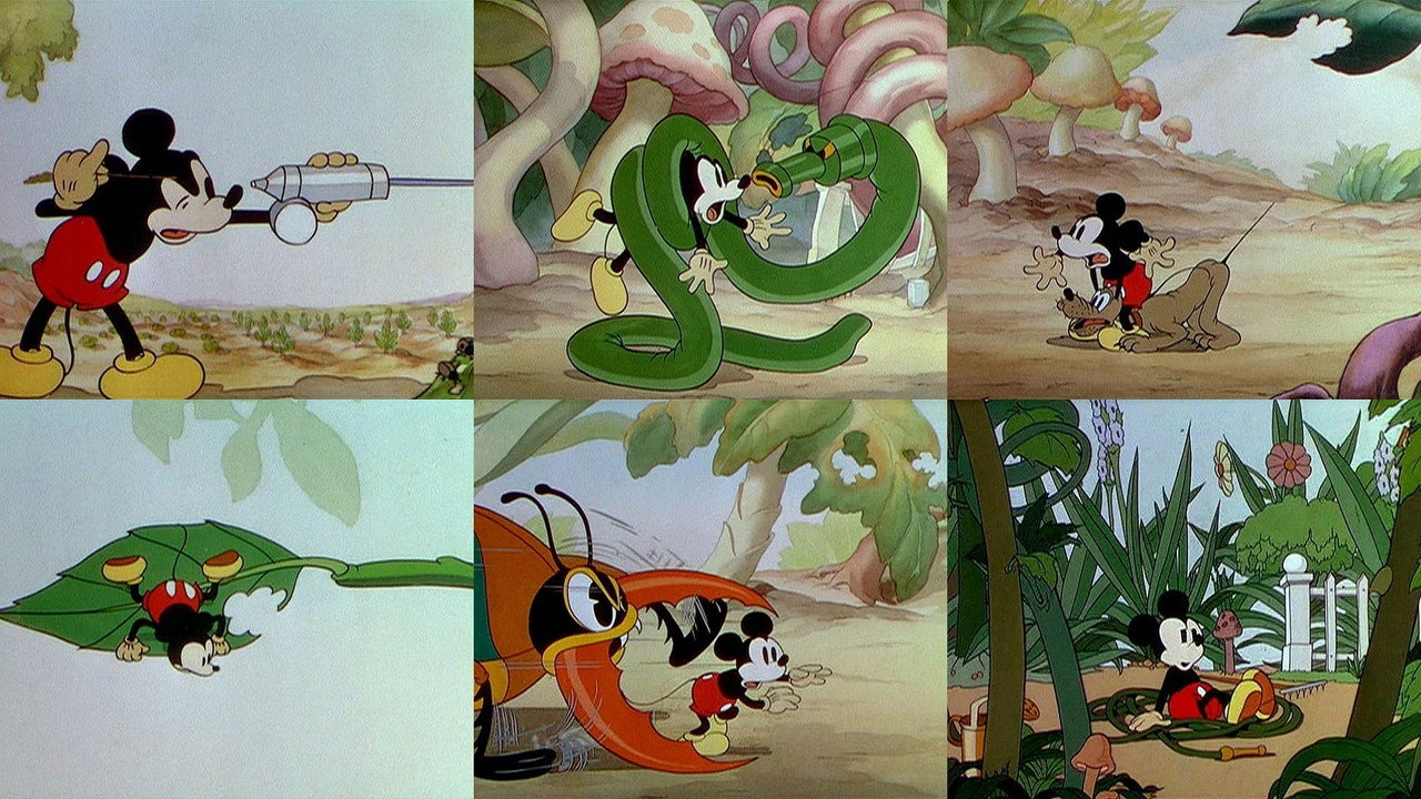 Le Jardin de Mickey