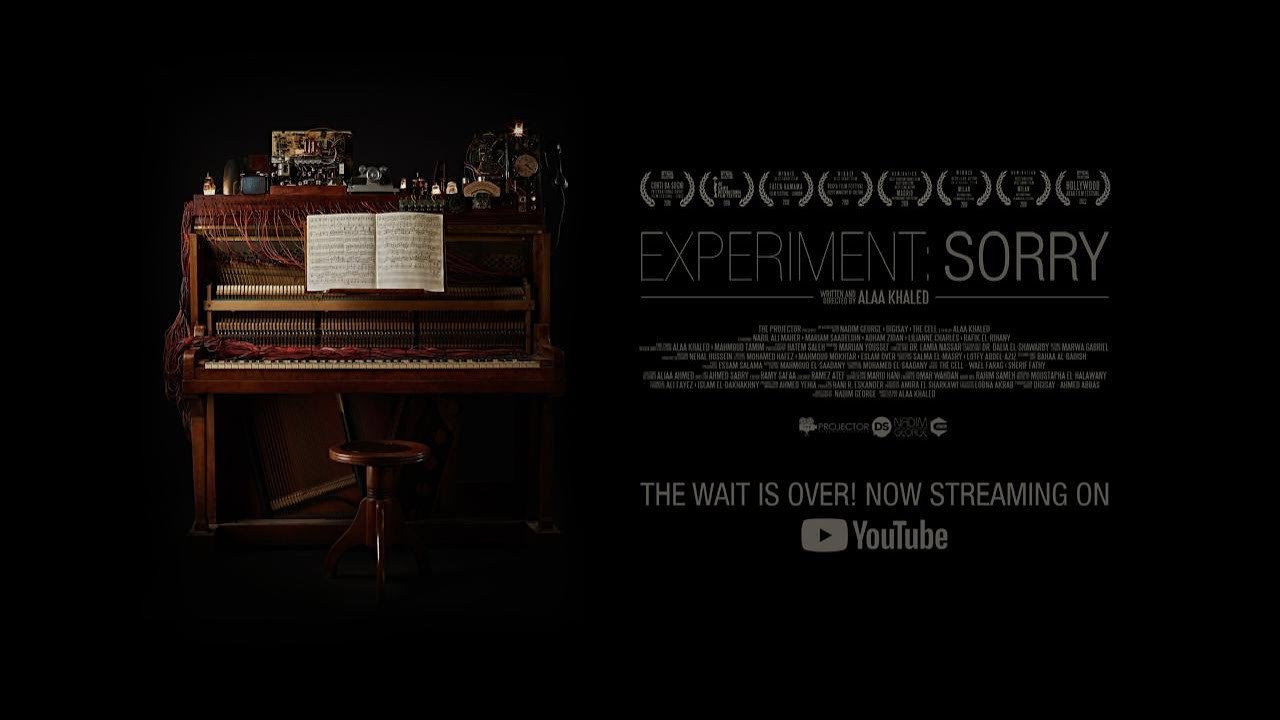 Experiment: Sorry
