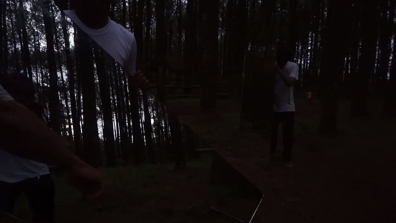 In The Pines