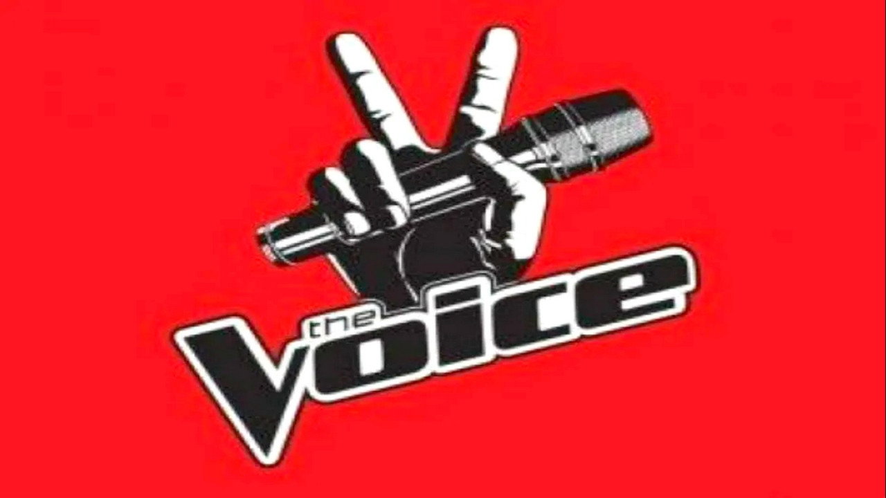 The Voice Senior (Belgique)