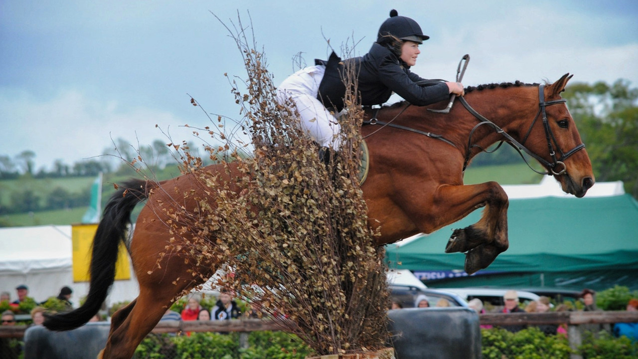 The Showjumper Murder