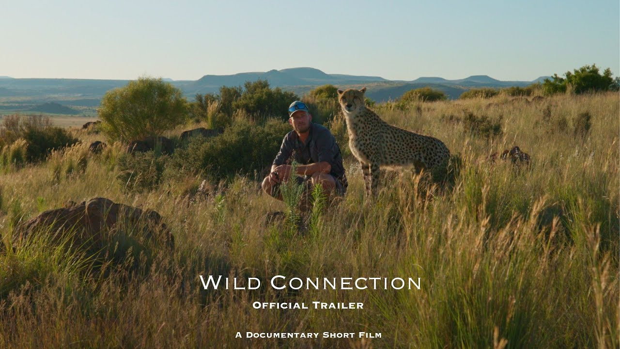 Wild Connection
