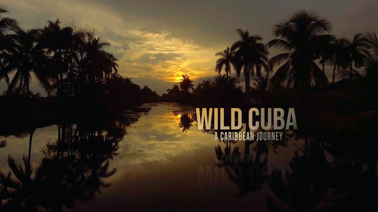 Cuba, révolution sauvage