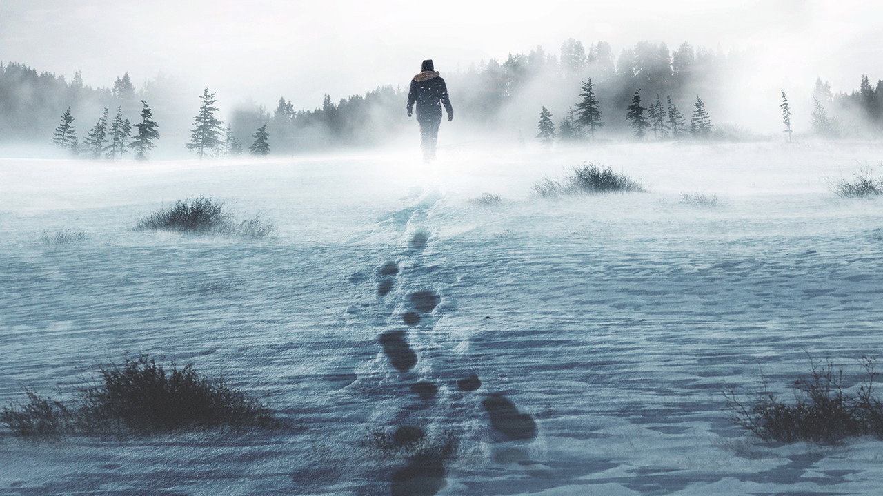 Alone : Les survivants