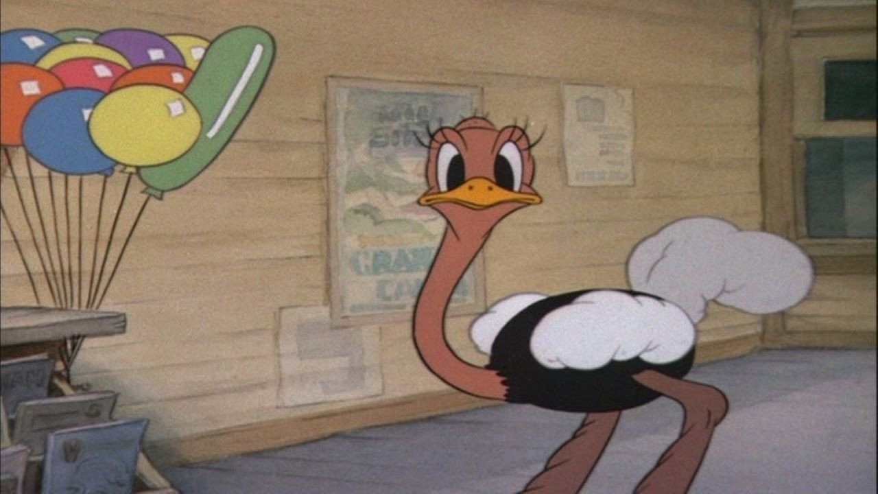 L'Autruche de Donald