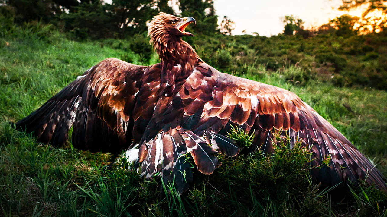 Wild and Wonderful Denmark