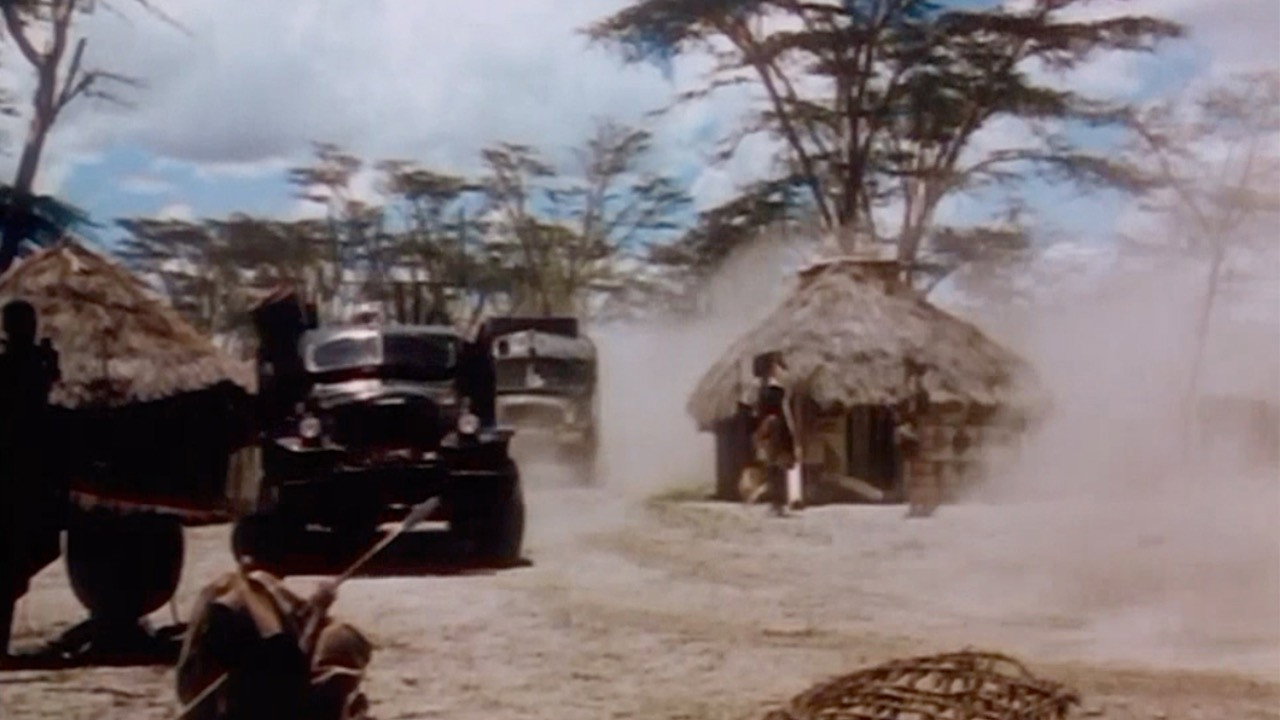 Jungle Safari