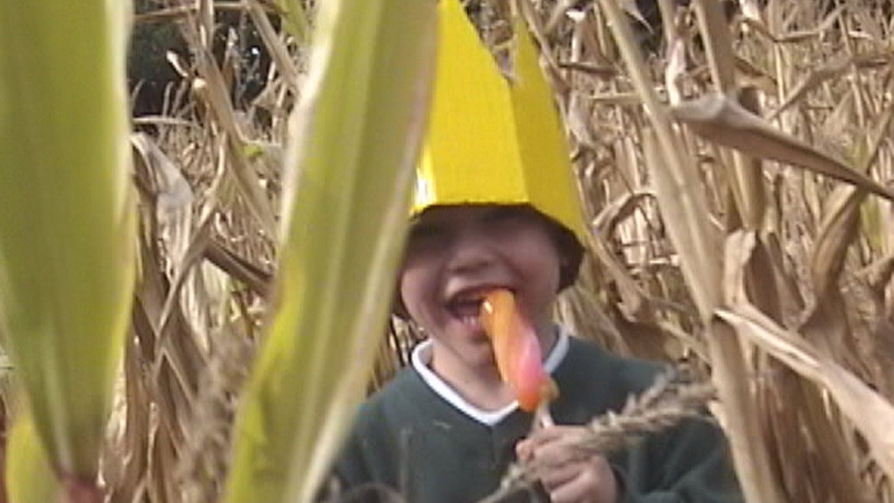 The Ice Lolly King