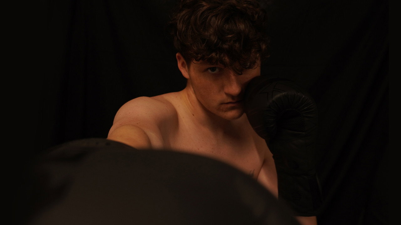 The Shadow Boxer