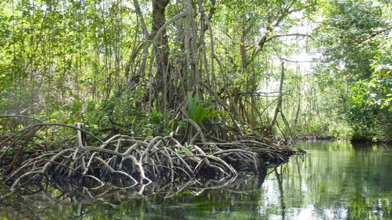 Vitesse mortelle dans la lagune